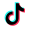 TikTok‌